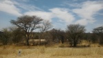 por Namibia
Namibia, Paisaje, Namibio