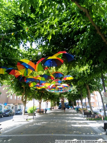 Paraguas de colores
Un paseo por el bulevar de Azuqueca
Allí encontré colgados en los árboles un montón de paraguas de colores que en estas fechas te protegen de los calores.
