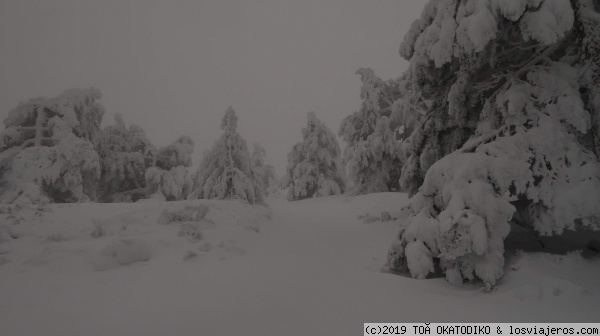 NIEVE 2018 VALLA DE ARÁN
NEVADA ENERO 2018
