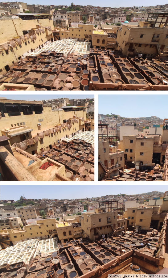 Dia 8: Free tour por Fez y callejear - 10 días en Marruecos (Marrakech-desierto-Fez) y presupuesto (3)