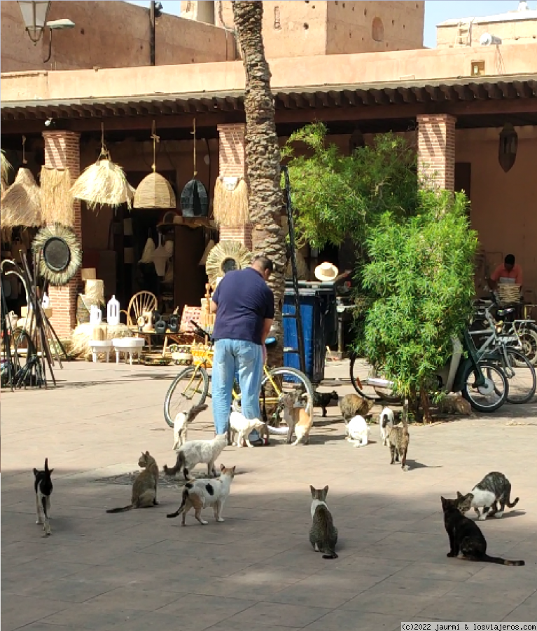10 días en Marruecos (Marrakech-desierto-Fez) y presupuesto - Blogs de Marruecos - Dia 4: Palacio El Bahdi, puerta Bab Agnaou y callejear por el zoco (1)