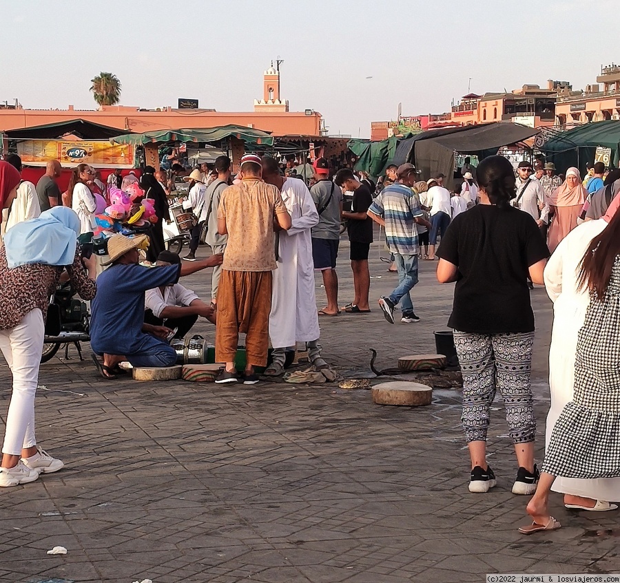 10 días en Marruecos (Marrakech-desierto-Fez) y presupuesto - Blogs de Marruecos - Dia 4: Palacio El Bahdi, puerta Bab Agnaou y callejear por el zoco (5)