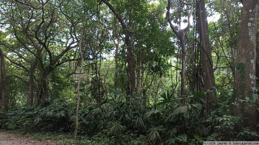 DIA 5: EXCURSIÓN AL TAYRONA - Colombia 2023 (Eje Cafetero, Cartagena de Indias, Medellín y Bogotá) (6)