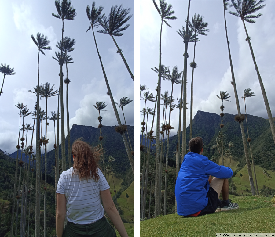 Colombia 2023 (Eje Cafetero, Cartagena de Indias, Medellín y Bogotá) - Blogs de Colombia - DIA 3: VALLE DEL COCORA Y FILANDIA (2)