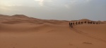 Dia 7: Amanecer en el desierto y viaje hasta Fez