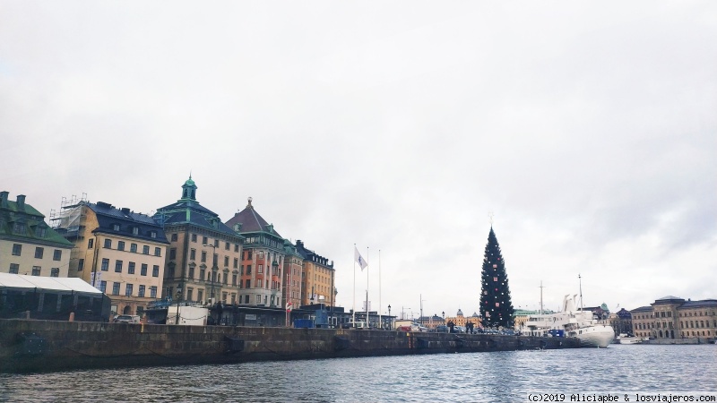 Suecia  (Diciembre 2018) - Blogs de Suecia - Día 4: Tour en barco y Djurgärden (2)