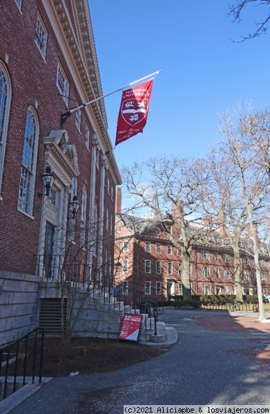 Harvard University
Harvard University
