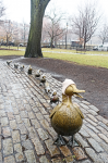 Make way for Ducklings