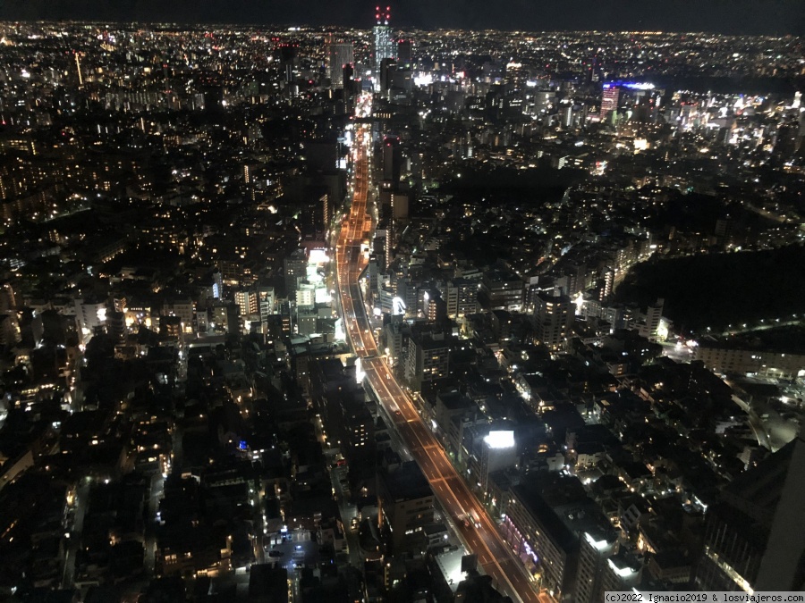 Shibuya y Roppongi - Tokio (Japón): en el país del sol naciente (5)
