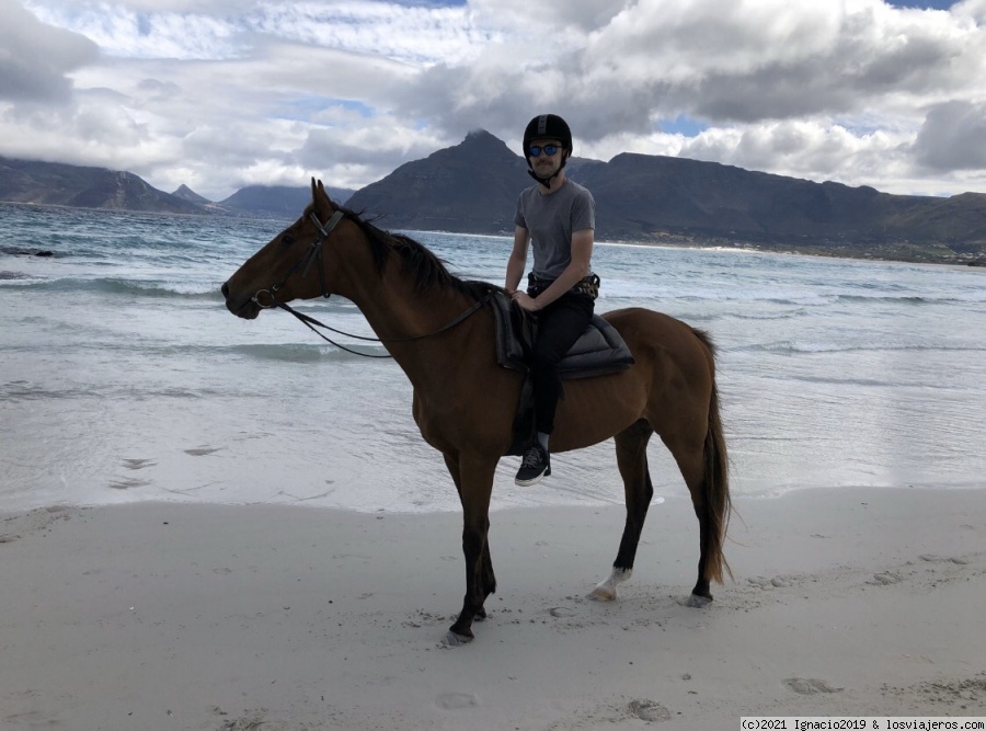 Sandboard, snorkel focas, kitesurf, buceo, vía ferrata, quad dunas, caballo - Ciudad del Cabo (Sudáfrica) (6)