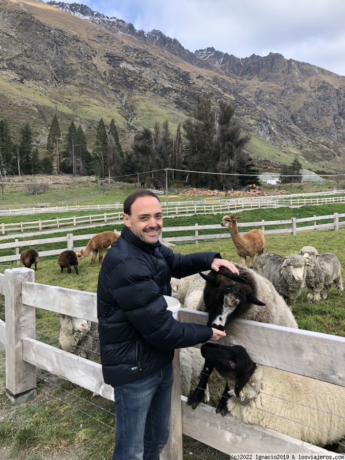 Nueva Zelanda: en la tierra de los all blacks y el kiwi - Blogs de Nueva Zelanda - Queenstown y la isla Sur (2)