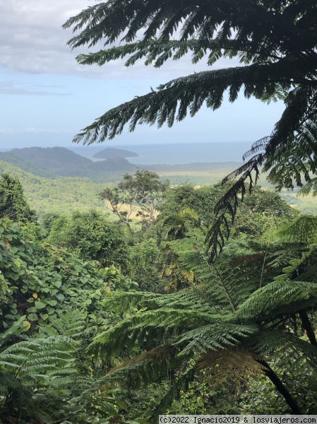 Mirador en Daintree
Mirador
