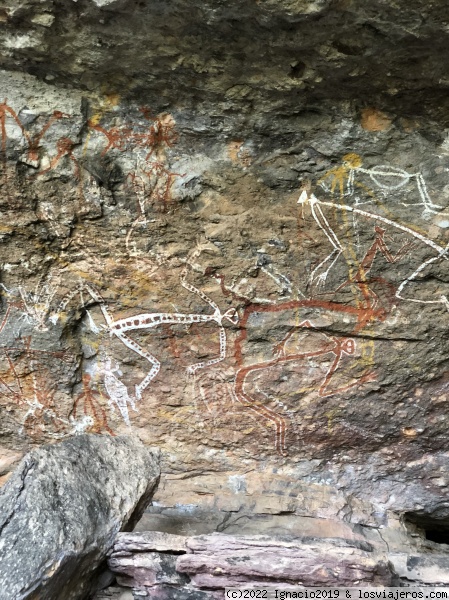 Pinturas rupestres en Nourlangie rock, Kakadu
Kakadu
