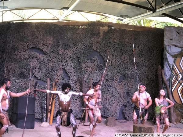 Danzas aborígenes en Tjapukai
Centro cultural
