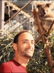 koala en Zoo Wild Life Sidney