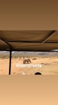 Rinoceronte
Rinoceronte, Safari, karoo
