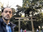 Arco tori, santuario Meiji