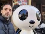Oso panda
panda