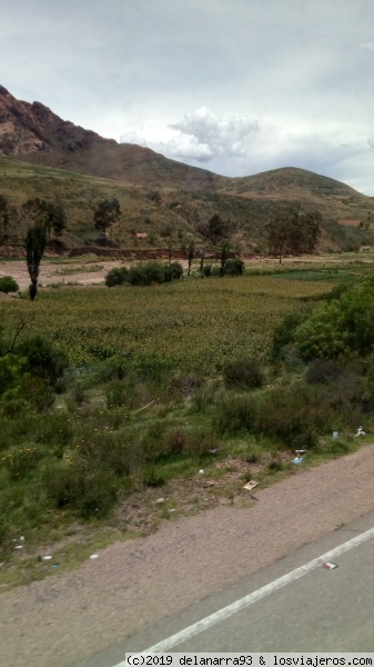 Ruta a Potosí
Se ven lugares de siembra

