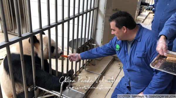 China DuJiangYan Panda Volunteer
https://www.westchinago.com/product/china-dujiangyan-panda-volunteer
