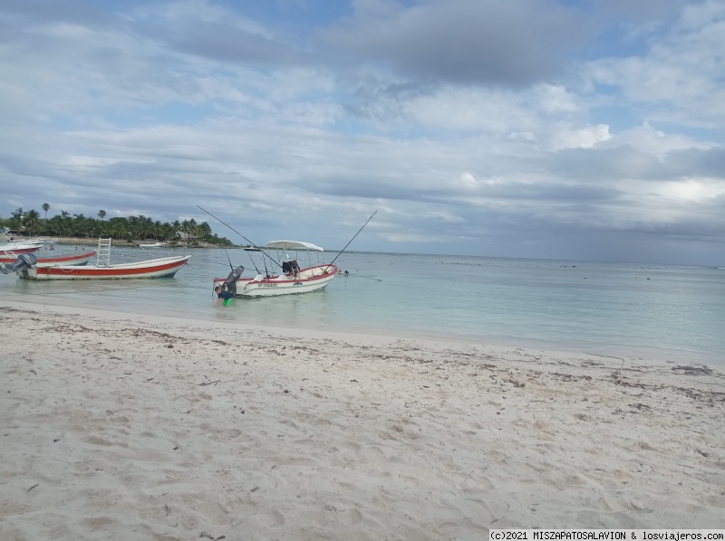 MÉXICO 15 DÍAS - Blogs de Mexico - DÍA 6. Playa Akumal (2)