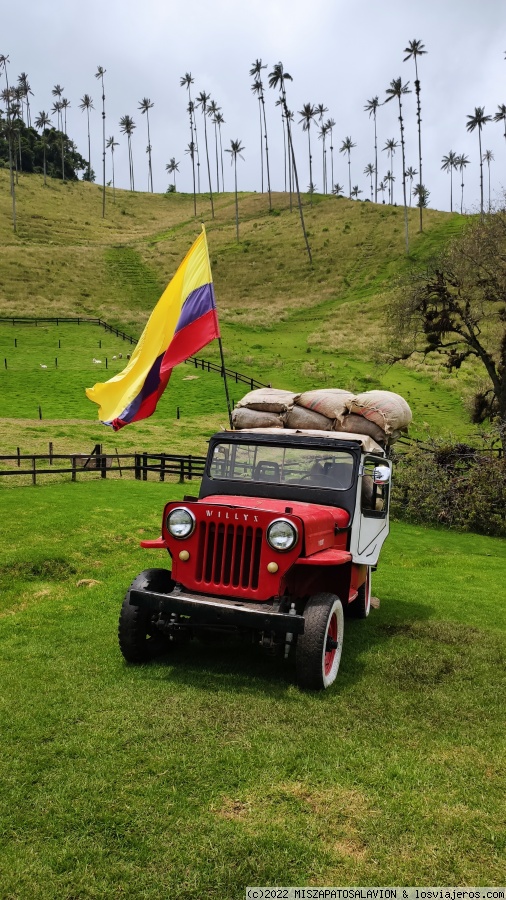 DIA 12 VALLE DEL COCORA - Colombia, 15 días (2)