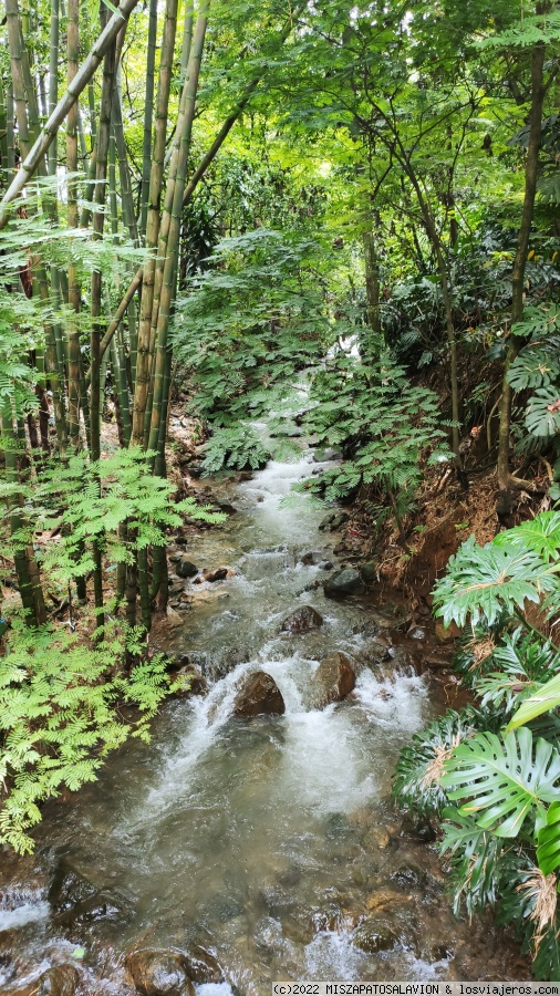 DIA 15 Y 16 COMUNA 13 - MEDELLÍN - Colombia, 15 días (4)