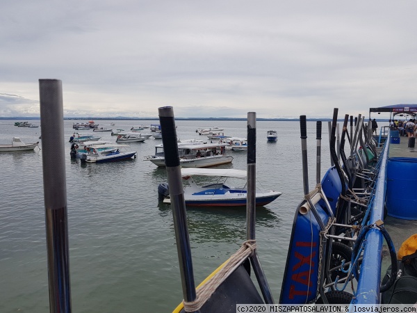 Carretillas muelle
Transporte en Morro
