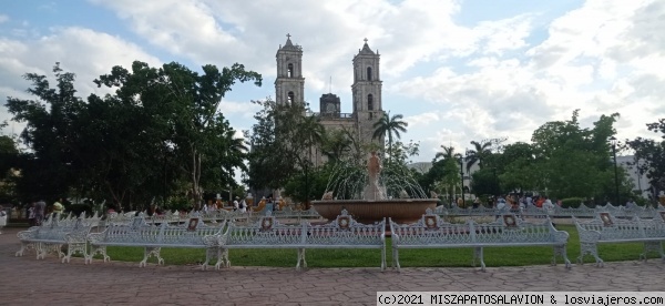 Catedral
Catedral
