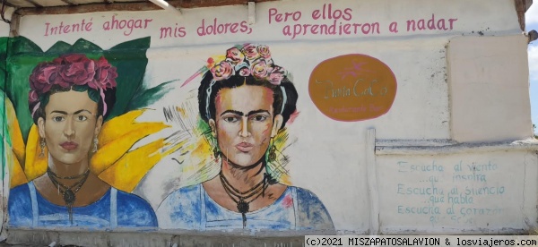 Frida
Frida
