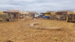 Casas uros
Casas, uros