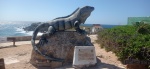 Iguana Punta sur