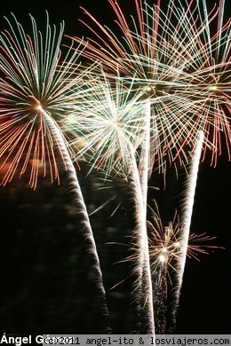 Fuegos artificiales.
Palmeras de Fuegos artificiales.
