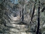 Incendios en Galicia
Galicia