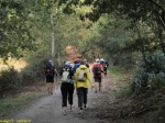 CAMINO DE SANTIAGO