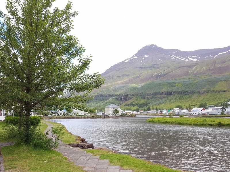 ETAPA 5 :FIORDOS DEL ESTE - Islandia: Volcanes y Glaciares (6)