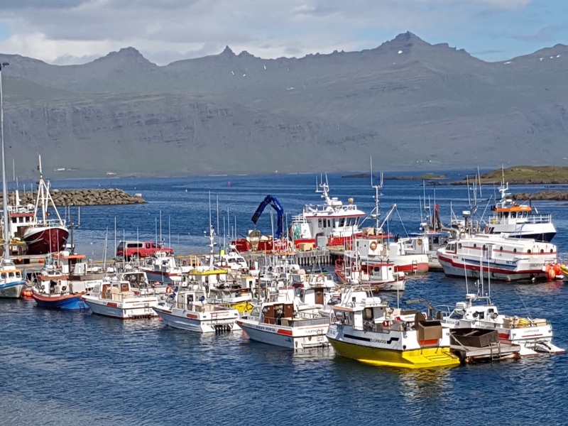 ETAPA 5 :FIORDOS DEL ESTE - Islandia: Volcanes y Glaciares (3)