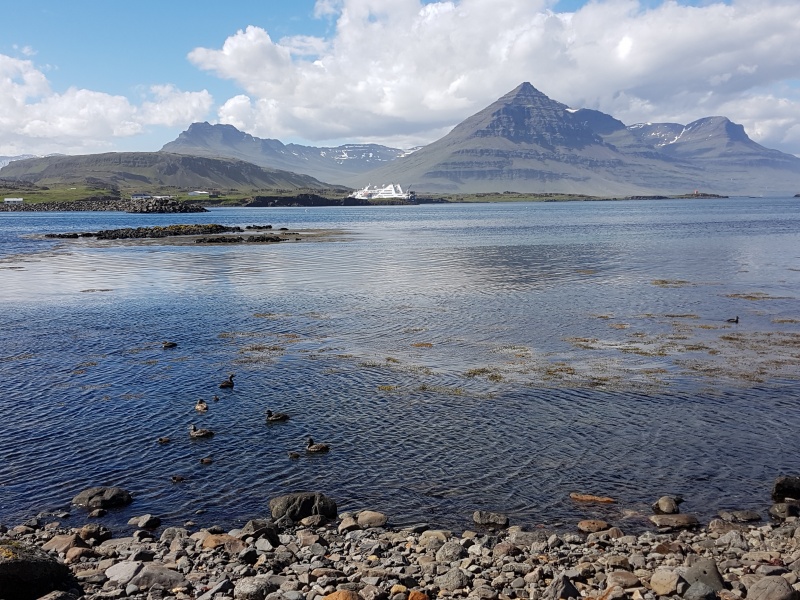 ETAPA 5 :FIORDOS DEL ESTE - Islandia: Volcanes y Glaciares (4)