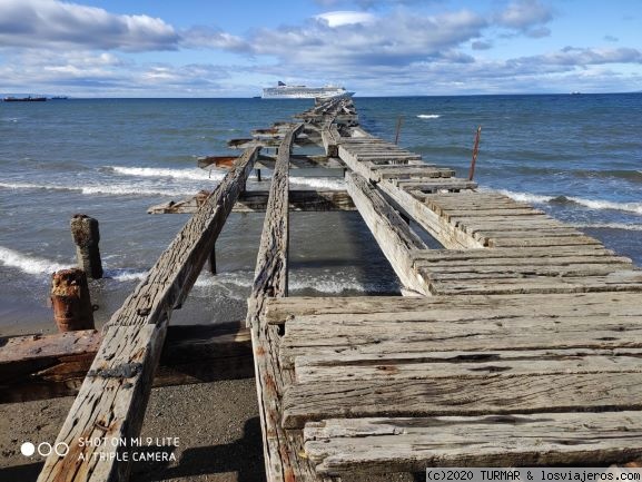 CHILE: PUNTA ARENAS, REGIÓN DE LOS LAGOS Y DESIERTO DE ATACAMA (teóricamente) - Blogs de Chile - ETAPA 2:PUNTA ARENAS ,EN EL SUR DEL SUR (6)