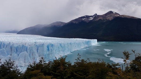 glaciar Perito Moreno y bosque patagónico
glaciar Perito Moreno y bosque patagónico
