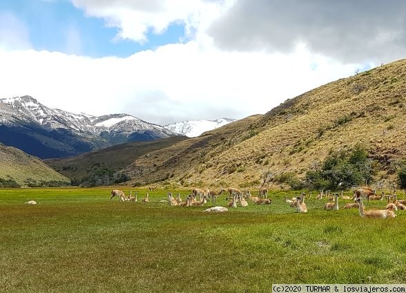 PATAGONIA ARGENTINA , IGUAZÚ Y TORRES DEL PAINE: NATURALEZA SALVAJE - Blogs de America Sur - PRIMER DIA EN TORRES DEL PAINE (5)