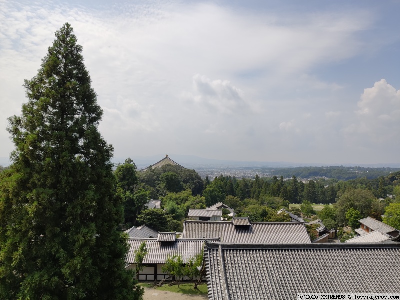 Viaje de dos semanas en Japón por libre - Verano de 2019 - Blogs de Japon - Día 4 - Fushimi Inari, Nara y paseo por Kioto (5)