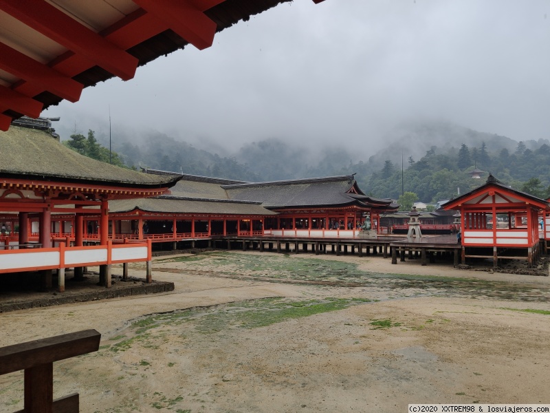 Día 7 - Miyajima y Hiroshima - Viaje de dos semanas en Japón por libre - Verano de 2019 (3)