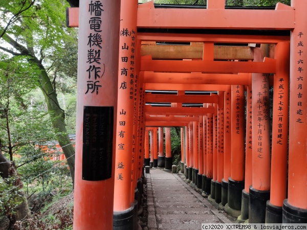 Senda de los toriis de Fushimi Inari
Senda de los toriis del santuario sintoísta de Fushimi Inari
