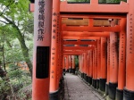 Senda de los toriis de Fushimi Inari
Senda, Fushimi, Inari, toriis, santuario, sintoísta