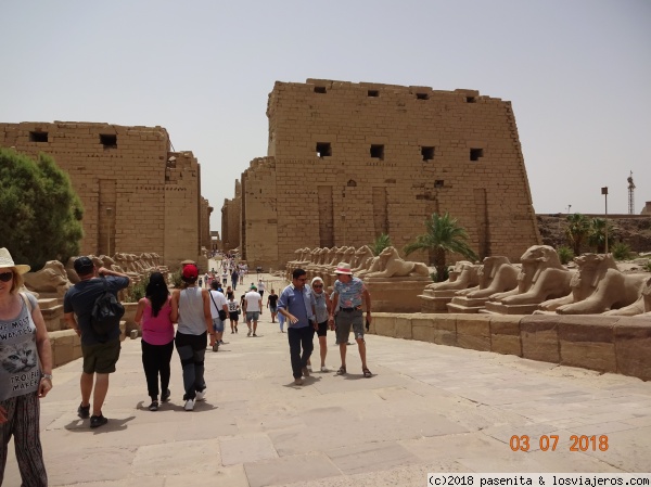 EGIPTO EN 8 DIAS, CRUCERO + CAIRO - Blogs de Egipto - DÍA 2 (3-7-18): LUXOR: COLOSOS DE MEMNÓN, TEMPLOS Y VALLE DE LOS REYES. ESNA. (5)