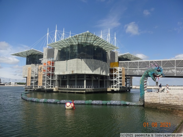 Oceanario de Lisboa
Oceanario de Lisboa
