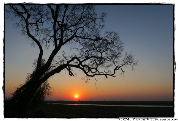 Atardecer en Chobe
El camping Ihaha, en pleno Chobe Riverfront, tiene una localización ideal para disfrutar del parque.
