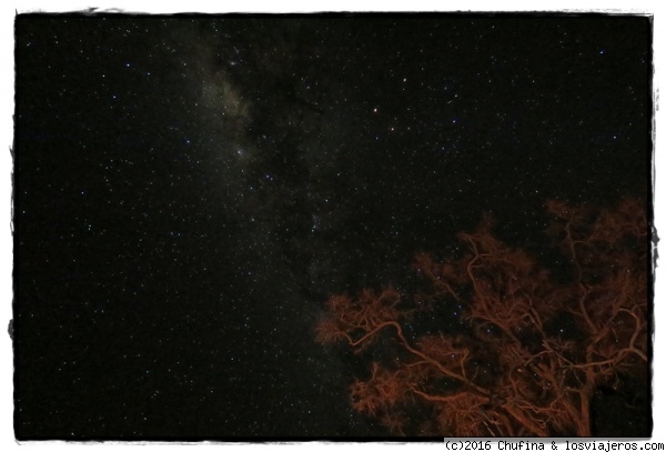 Cielo estrellado
Así se ve la Vía Láctea desde Chobe (Ihaha).
