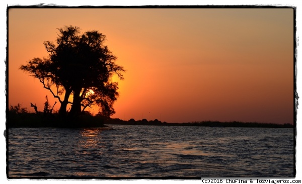 Atardecer en Chobe (I)
El crucero al atardecer por el río Chobe es una de las actividades más típicas, pero no por ello menos recomendables.
